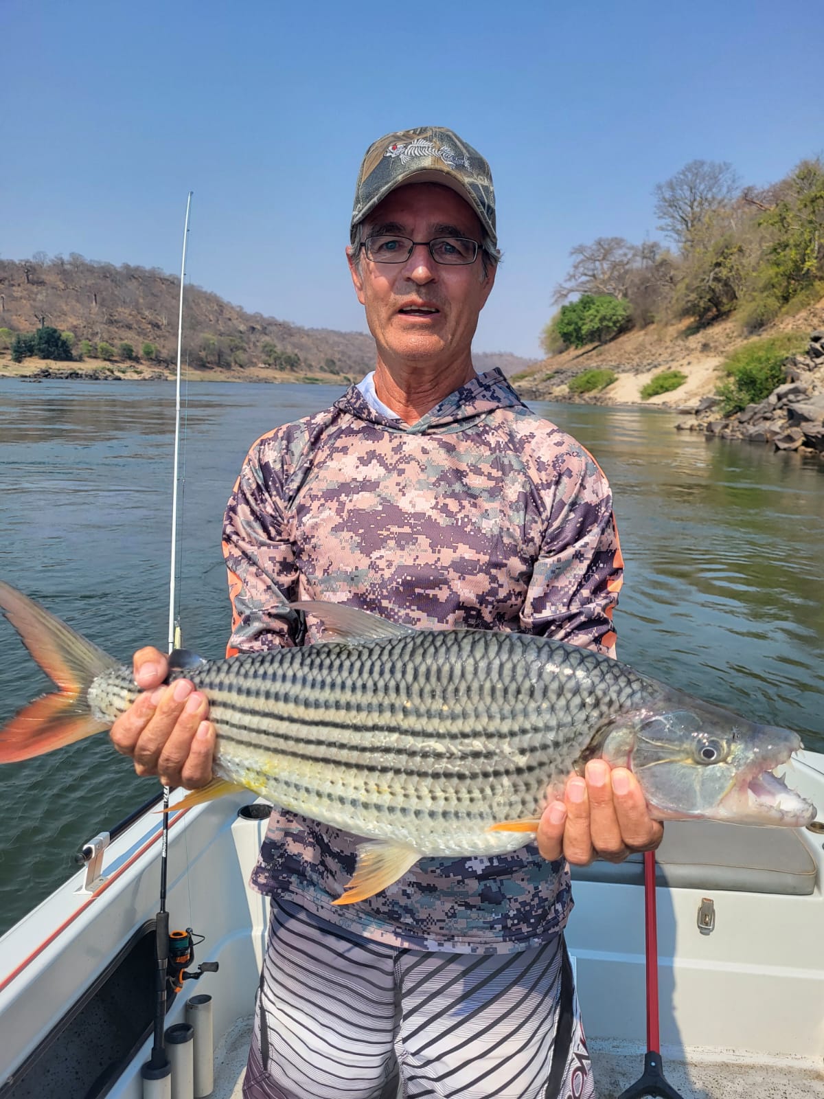 Tiger Fish